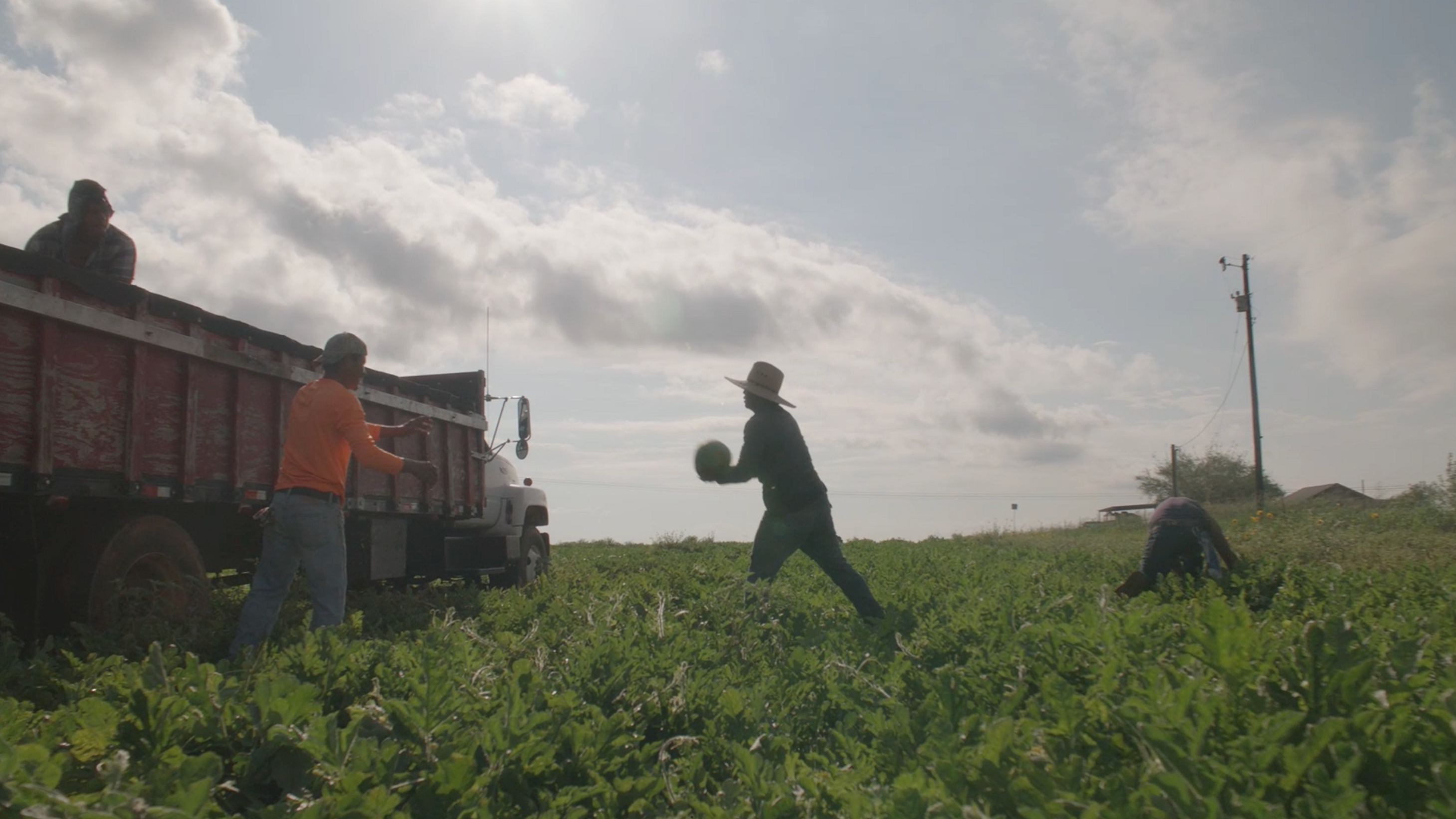 National Farm Worker Ministry - Harvest for Justice